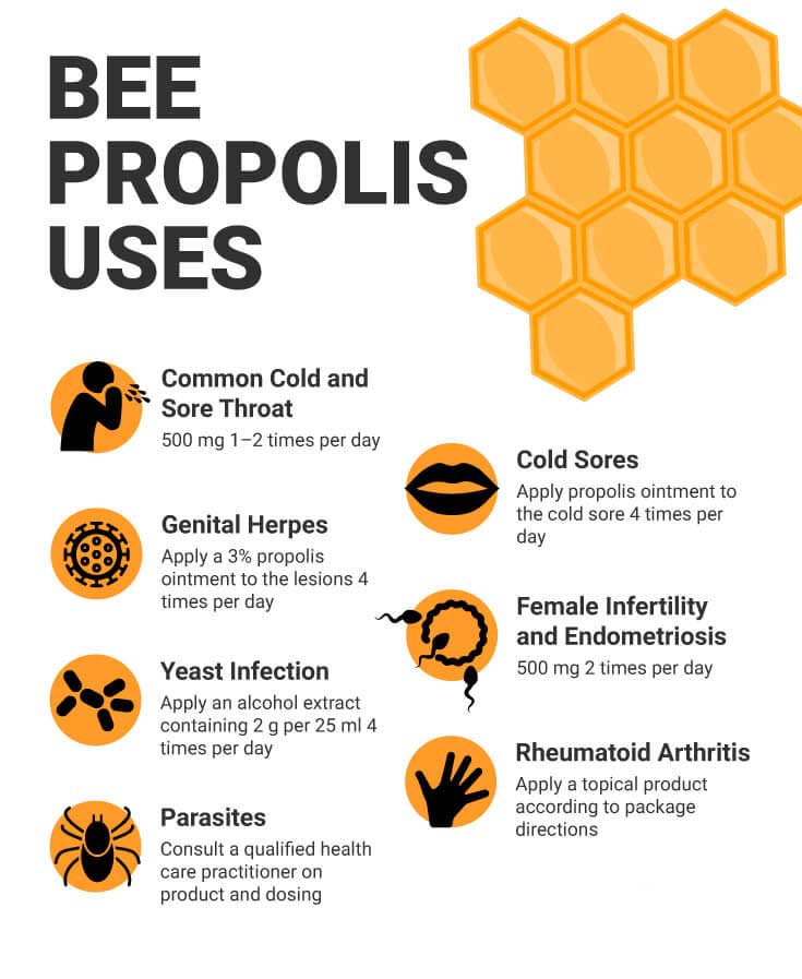 The Health Benefits of Propolis