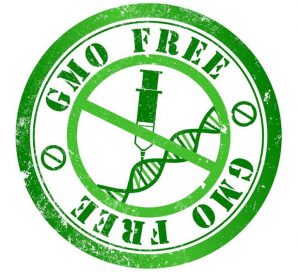 GMO Free, Non GMO Honey USA Organic Honey