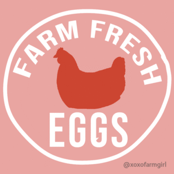 Unlocking the Benefits: Why Our Local Farm Fresh Organic Eggs Reign Supreme